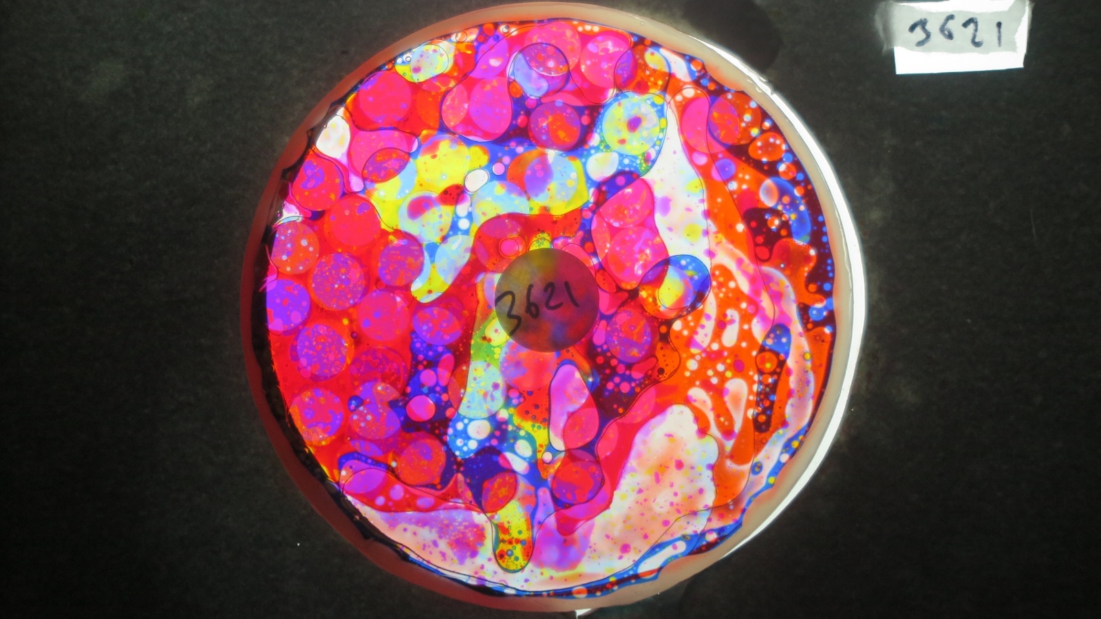 BV3621 bubble vision oil wheel